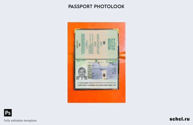 цифровая загрузка шаблона фотоизображения для паспорта Ирака 1